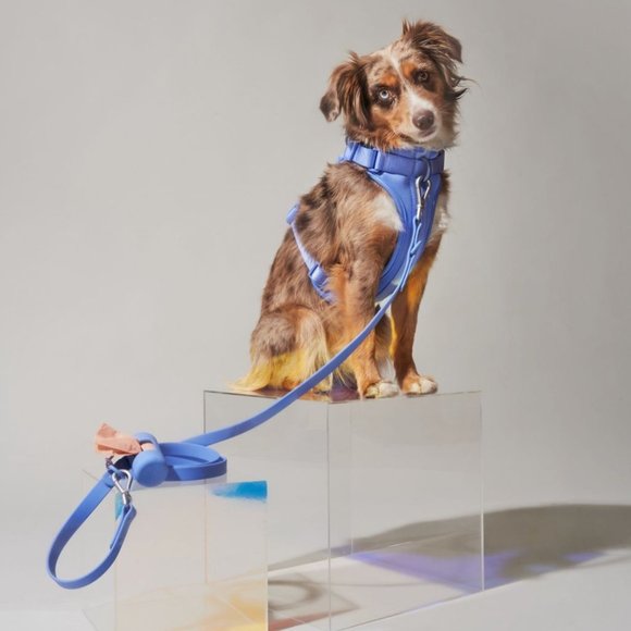 Wild One Dog Harness XS - Picture 4 of 7